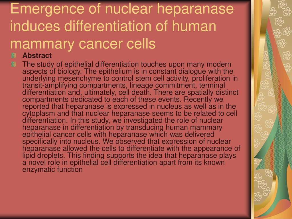 Emergence of nuclear heparanase induces differentiation of human mammary cancer cells