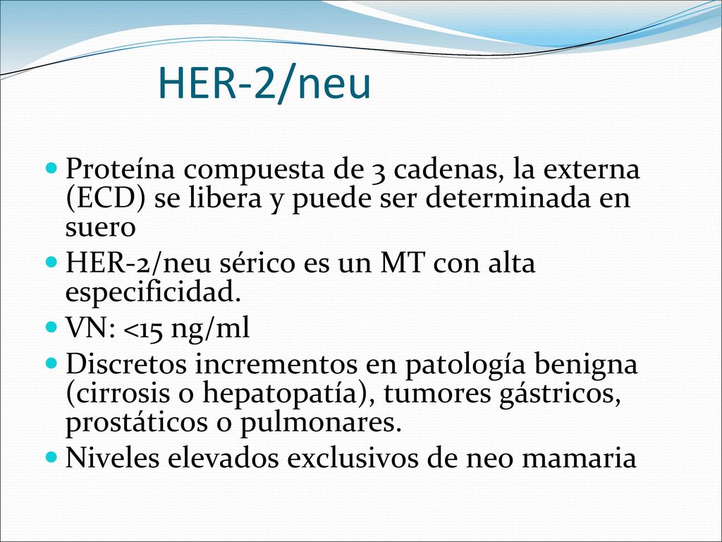 HER-2/neu Proteína compuesta de 3 cadenas, la externa (ECD) se libera y puede ser determinada en suero.