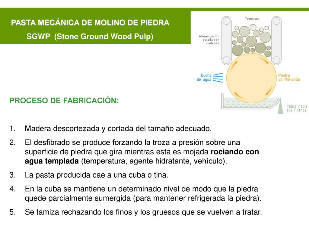 PASTA MECÁNICA DE MOLINO DE PIEDRA SGWP (Stone Ground Wood Pulp)