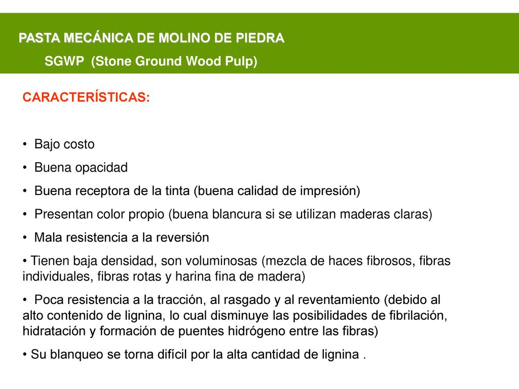 PASTA MECÁNICA DE MOLINO DE PIEDRA SGWP (Stone Ground Wood Pulp)