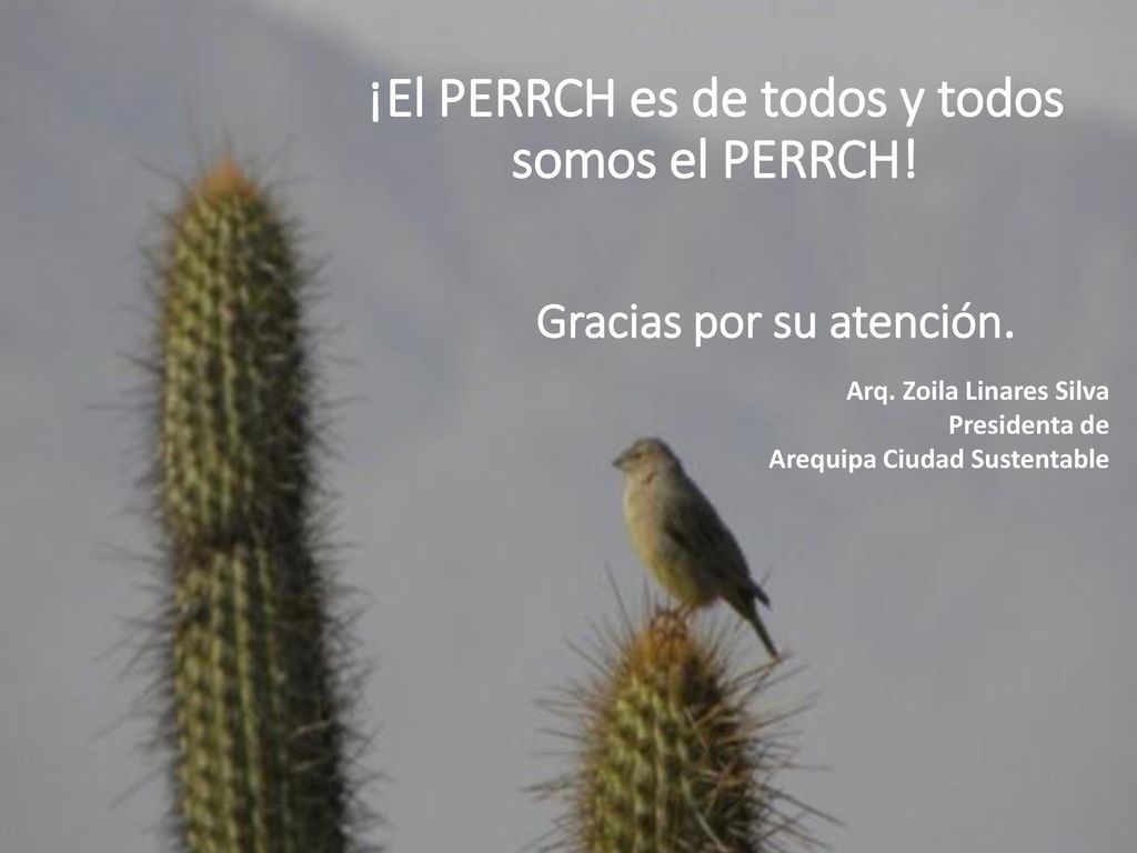 ¡El PERRCH es de todos y todos somos el PERRCH!