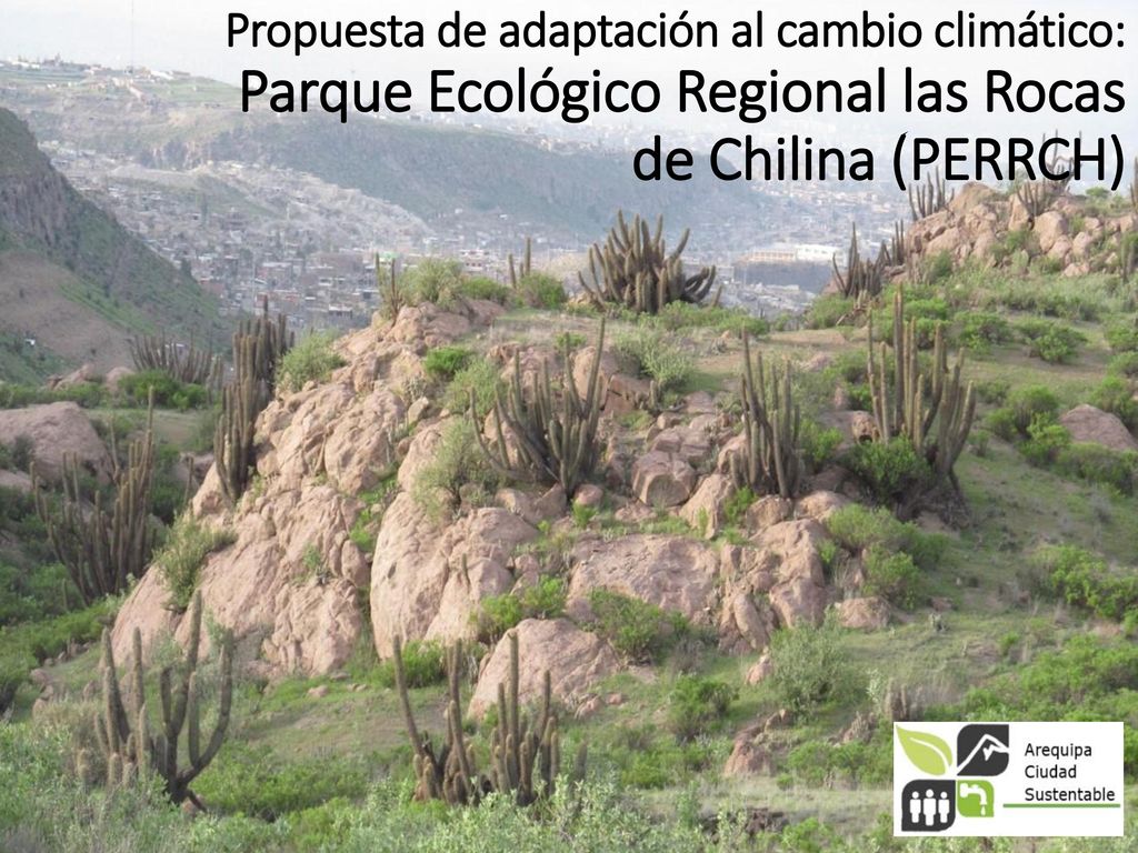 Propuesta de adaptación al cambio climático: Parque Ecológico Regional las Rocas de Chilina (PERRCH)