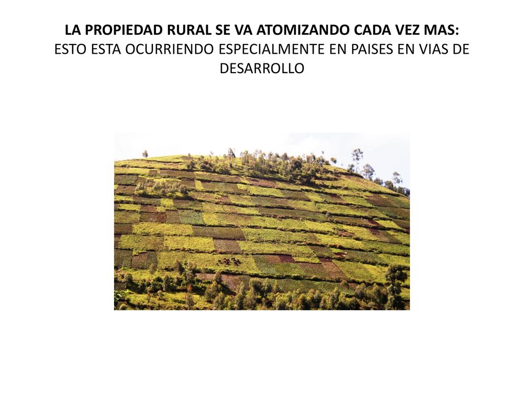LA PROPIEDAD RURAL SE VA ATOMIZANDO CADA VEZ MAS: ESTO ESTA OCURRIENDO ESPECIALMENTE EN PAISES EN VIAS DE DESARROLLO