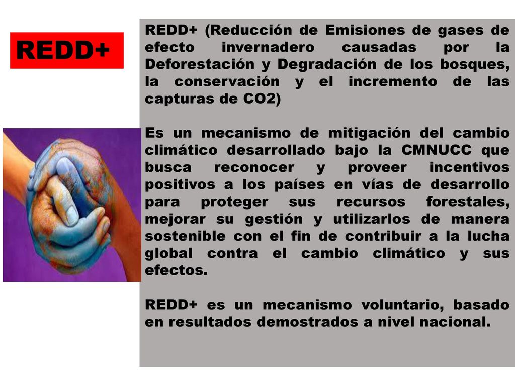 REDD+ (Reducción de Emisiones de gases de efecto invernadero causadas por la Deforestación y Degradación de los bosques, la conservación y el incremento de las capturas de CO2)