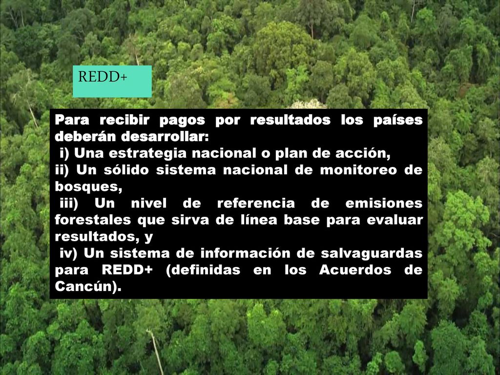 REDD+ Para recibir pagos por resultados los países deberán desarrollar: i) Una estrategia nacional o plan de acción,