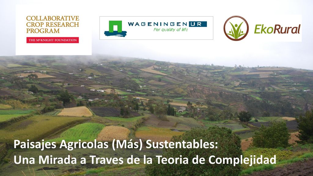 Paisajes Agricolas (Más) Sustentables: Una Mirada a Traves de la Teoria de Complejidad
