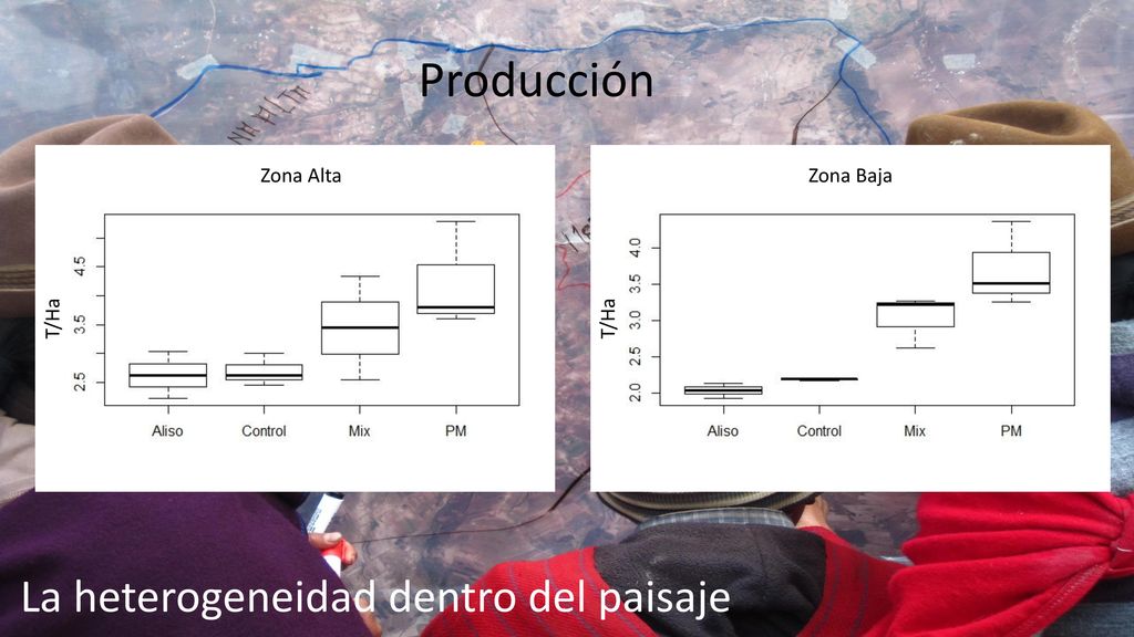Producción La heterogeneidad dentro del paisaje Zona Alta Zona Baja