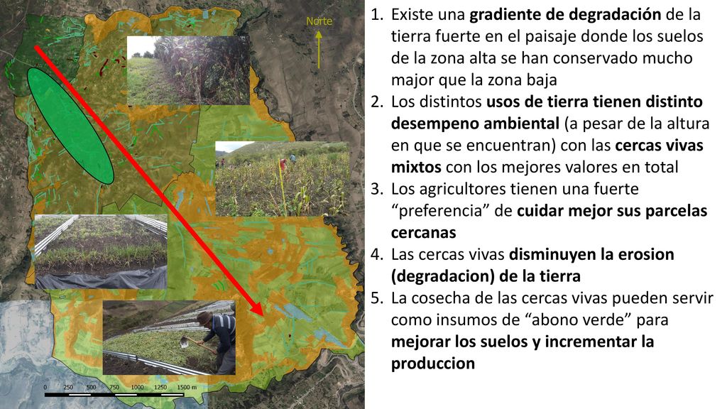 Existe una gradiente de degradación de la tierra fuerte en el paisaje donde los suelos de la zona alta se han conservado mucho major que la zona baja