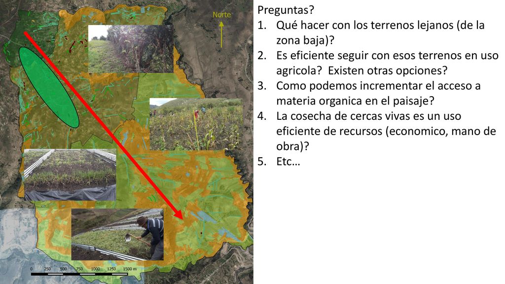Preguntas Qué hacer con los terrenos lejanos (de la zona baja) Es eficiente seguir con esos terrenos en uso agricola Existen otras opciones