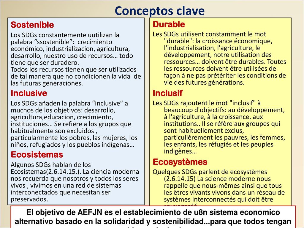 El objetivo de AEFJN es el establecimiento de u8n sistema economico