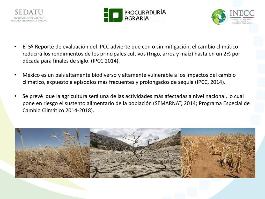El 5º Reporte de evaluación del IPCC advierte que con o sin mitigación, el cambio climático reducirá los rendimientos de los principales cultivos (trigo, arroz y maíz) hasta en un 2% por década para finales de siglo. (IPCC 2014).