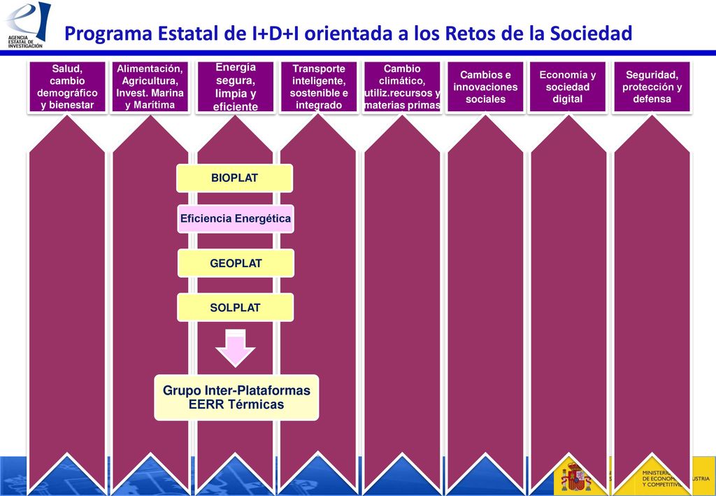 Programa Estatal de I+D+I orientada a los Retos de la Sociedad