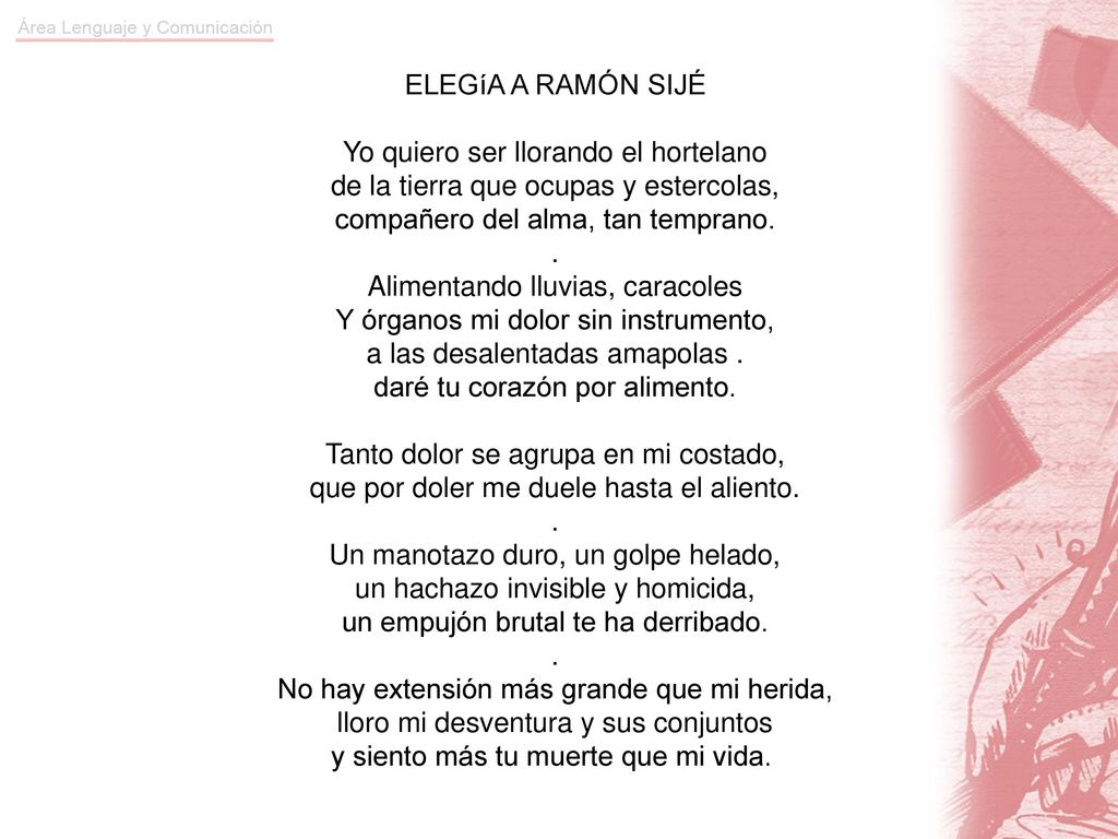 ELEGíA A RAMÓN SIJÉ Yo quiero ser llorando el hortelano de la tierra que ocupas y estercolas, compañero del alma, tan temprano. . Alimentando lluvias, caracoles Y órganos mi dolor sin instrumento, a las desalentadas amapolas . daré tu corazón por alimento.