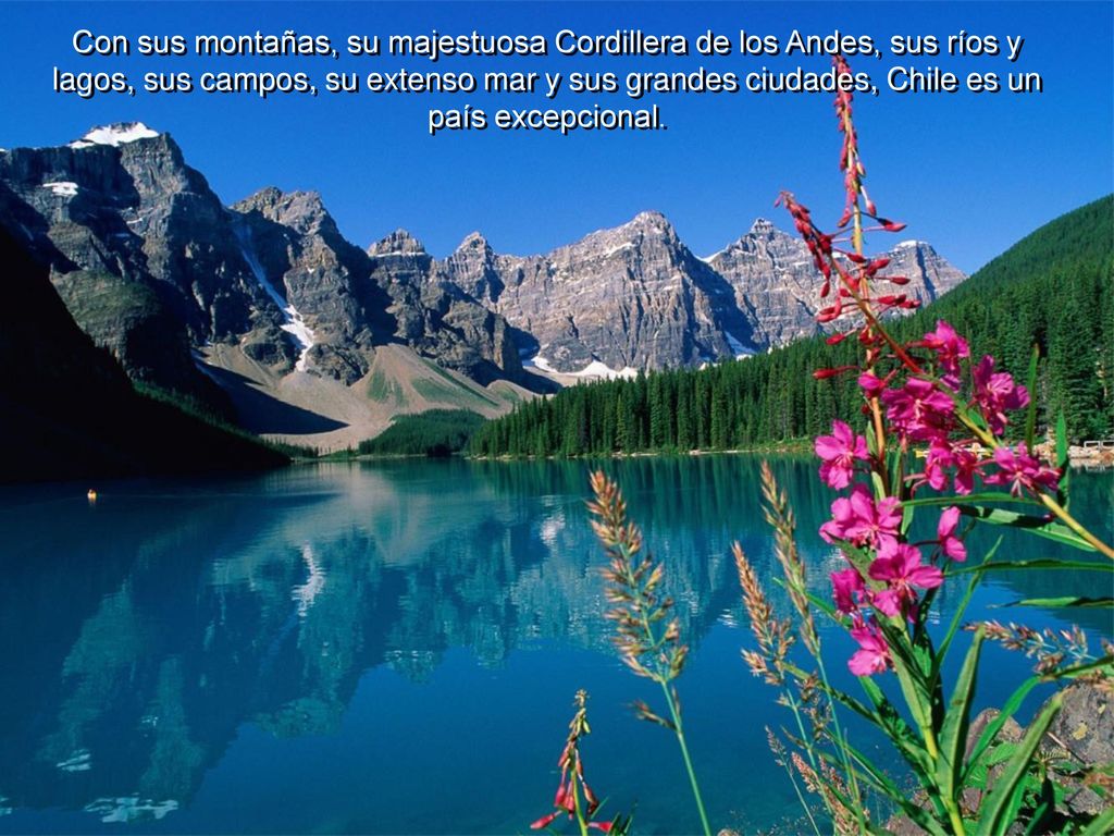 Con sus montañas, su majestuosa Cordillera de los Andes, sus ríos y lagos, sus campos, su extenso mar y sus grandes ciudades, Chile es un país excepcional.