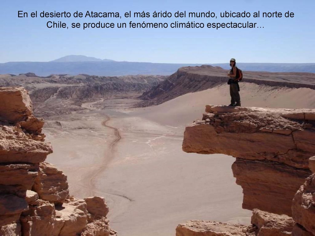 En el desierto de Atacama, el más árido del mundo, ubicado al norte de Chile, se produce un fenómeno climático espectacular…