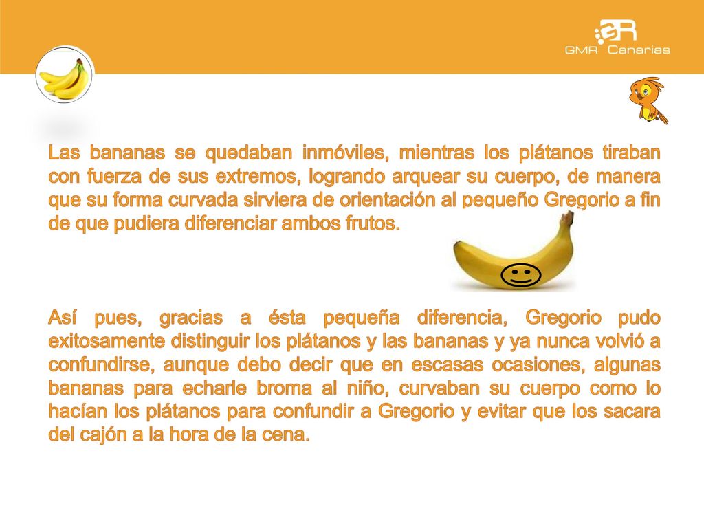 Las bananas se quedaban inmóviles, mientras los plátanos tiraban con fuerza de sus extremos, logrando arquear su cuerpo, de manera que su forma curvada sirviera de orientación al pequeño Gregorio a fin de que pudiera diferenciar ambos frutos.