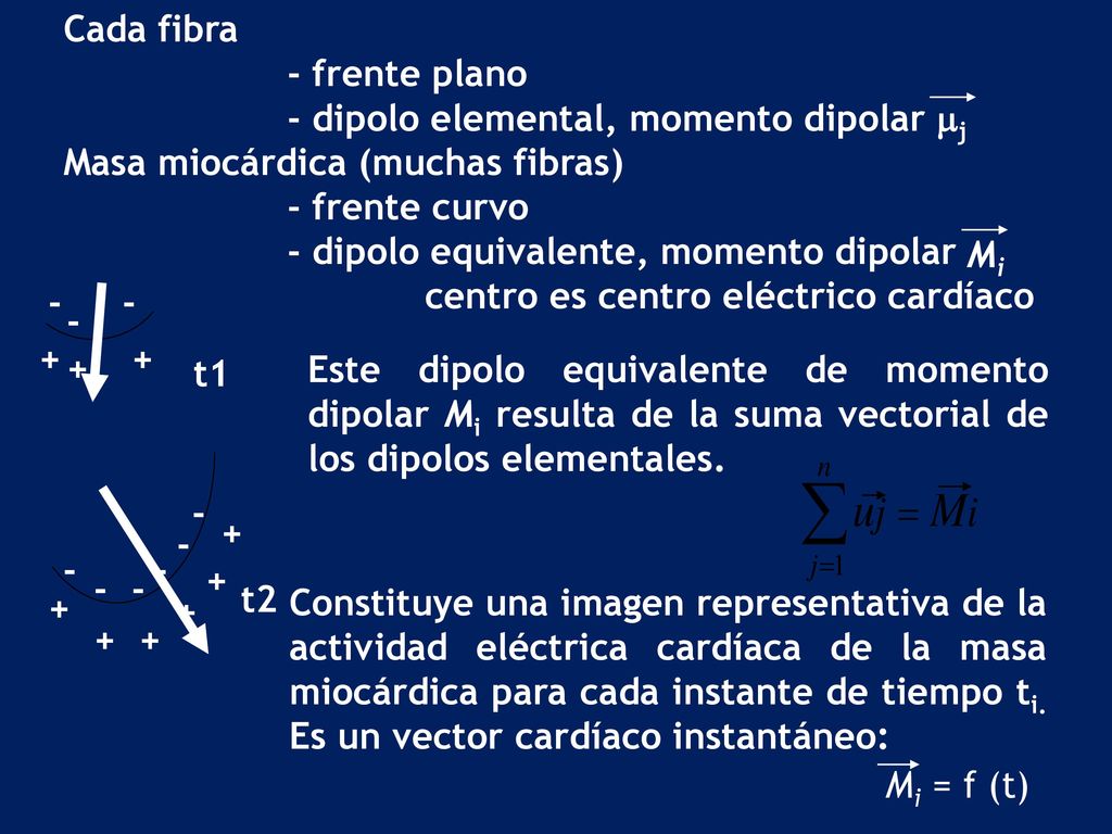 - dipolo elemental, momento dipolar mj Masa miocárdica (muchas fibras)
