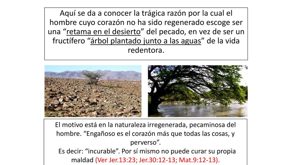 Aquí se da a conocer la trágica razón por la cual el hombre cuyo corazón no ha sido regenerado escoge ser una retama en el desierto del pecado, en vez de ser un fructífero árbol plantado junto a las aguas de la vida redentora.