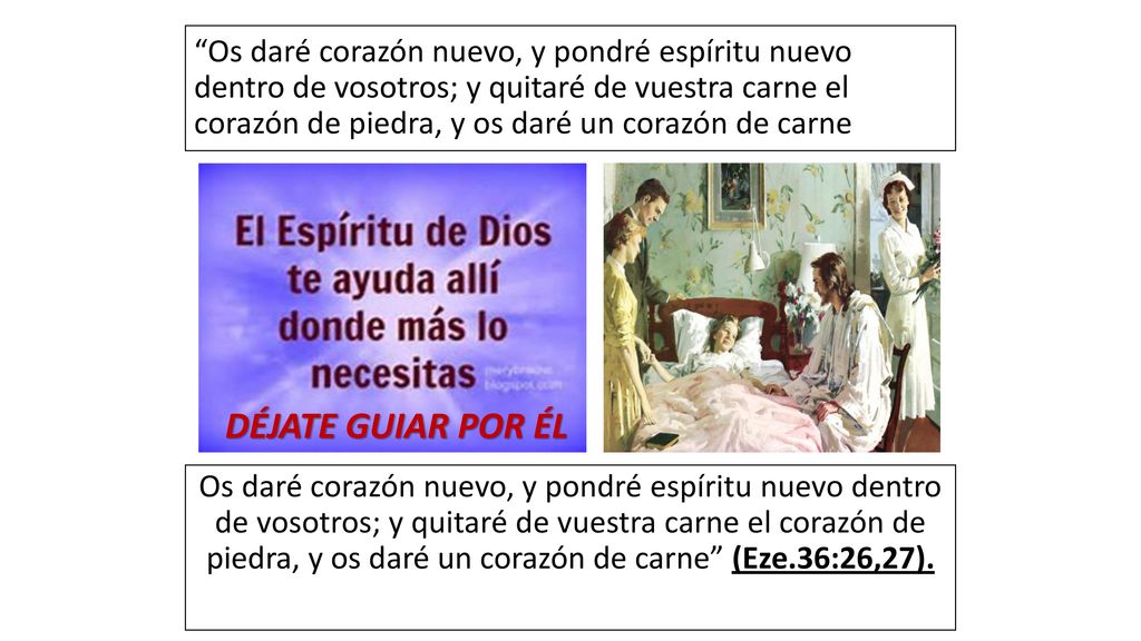 Os daré corazón nuevo, y pondré espíritu nuevo dentro de vosotros; y quitaré de vuestra carne el corazón de piedra, y os daré un corazón de carne