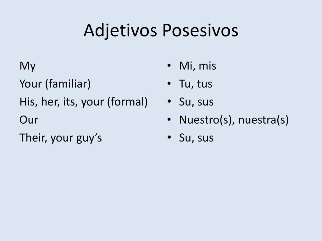Adjetivos Posesivos My Your (familiar) His, her, its, your (formal) Our Their, your guy’s Mi, mis.
