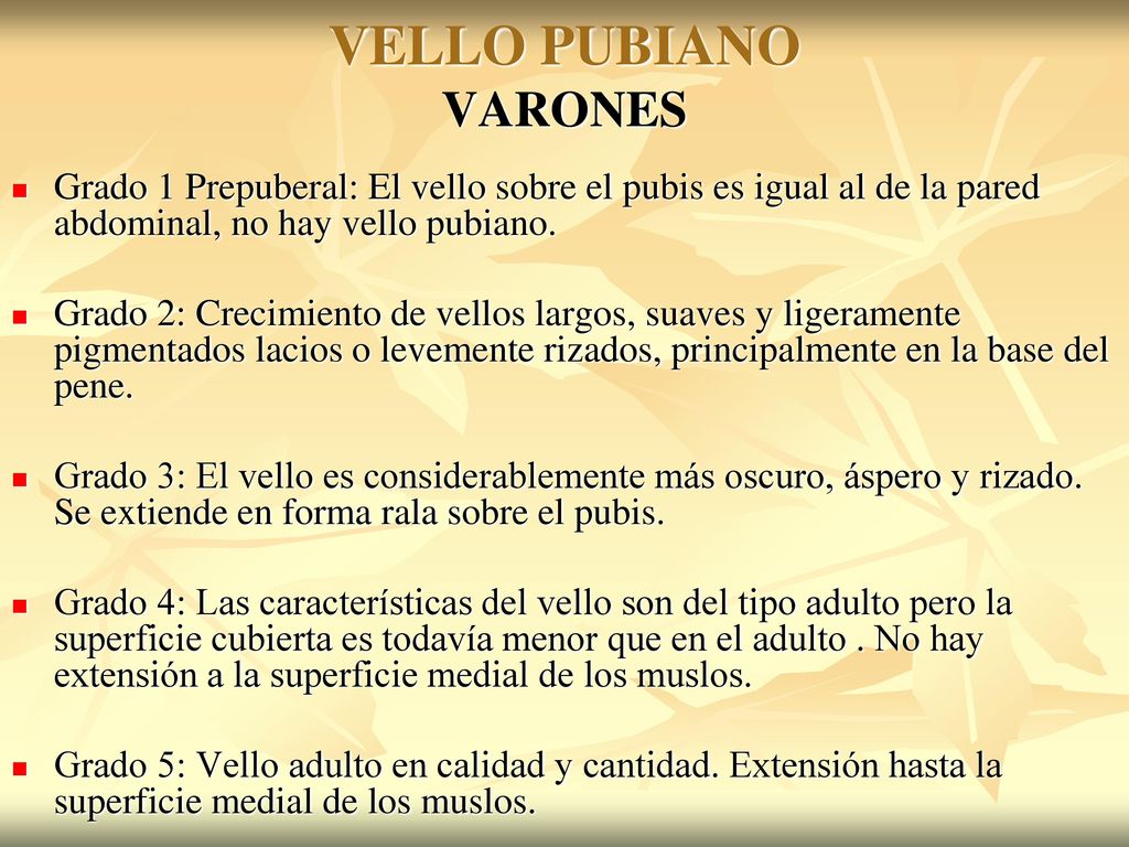 VELLO PUBIANO VARONES. Grado 1 Prepuberal: El vello sobre el pubis es igual al de la pared abdominal, no hay vello pubiano.