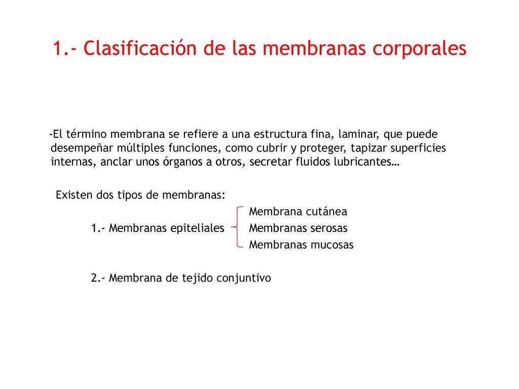 1.- Clasificación de las membranas corporales