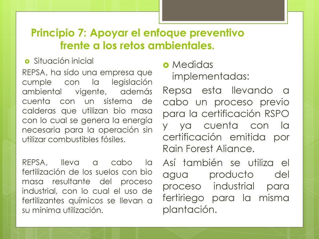 Principio 7: Apoyar el enfoque preventivo frente a los retos ambientales.
