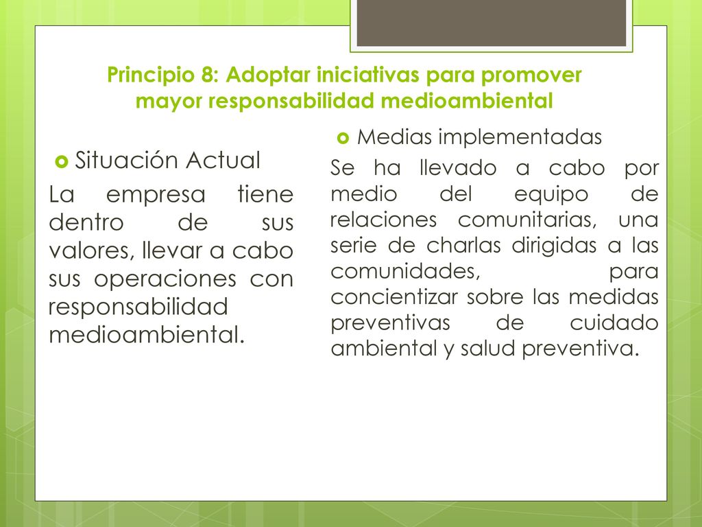 Principio 8: Adoptar iniciativas para promover mayor responsabilidad medioambiental