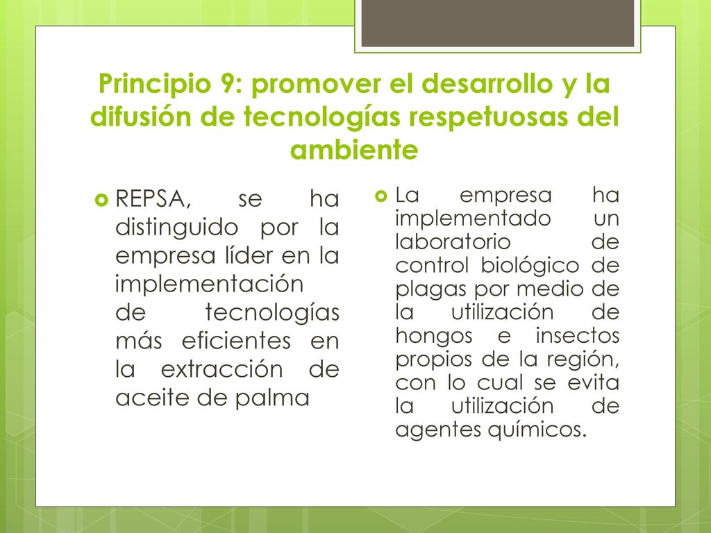 Principio 9: promover el desarrollo y la difusión de tecnologías respetuosas del ambiente