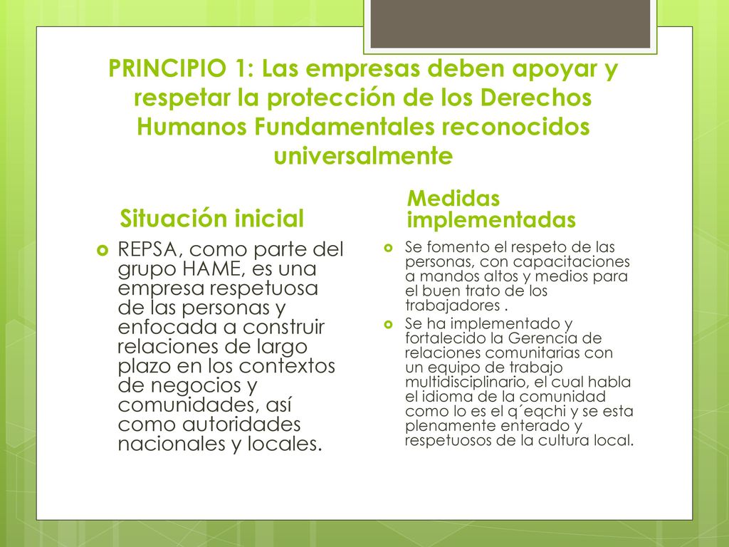 PRINCIPIO 1: Las empresas deben apoyar y respetar la protección de los Derechos Humanos Fundamentales reconocidos universalmente