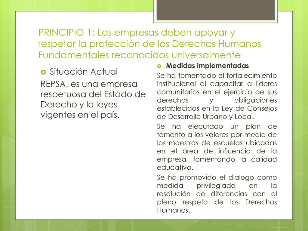 PRINCIPIO 1: Las empresas deben apoyar y respetar la protección de los Derechos Humanos Fundamentales reconocidos universalmente