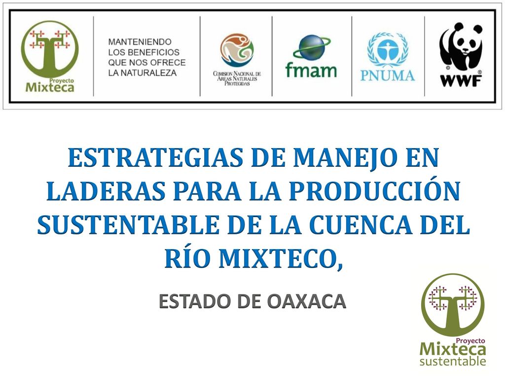 ESTRATEGIAS DE MANEJO EN LADERAS PARA LA PRODUCCIÓN SUSTENTABLE DE LA CUENCA DEL RÍO MIXTECO,