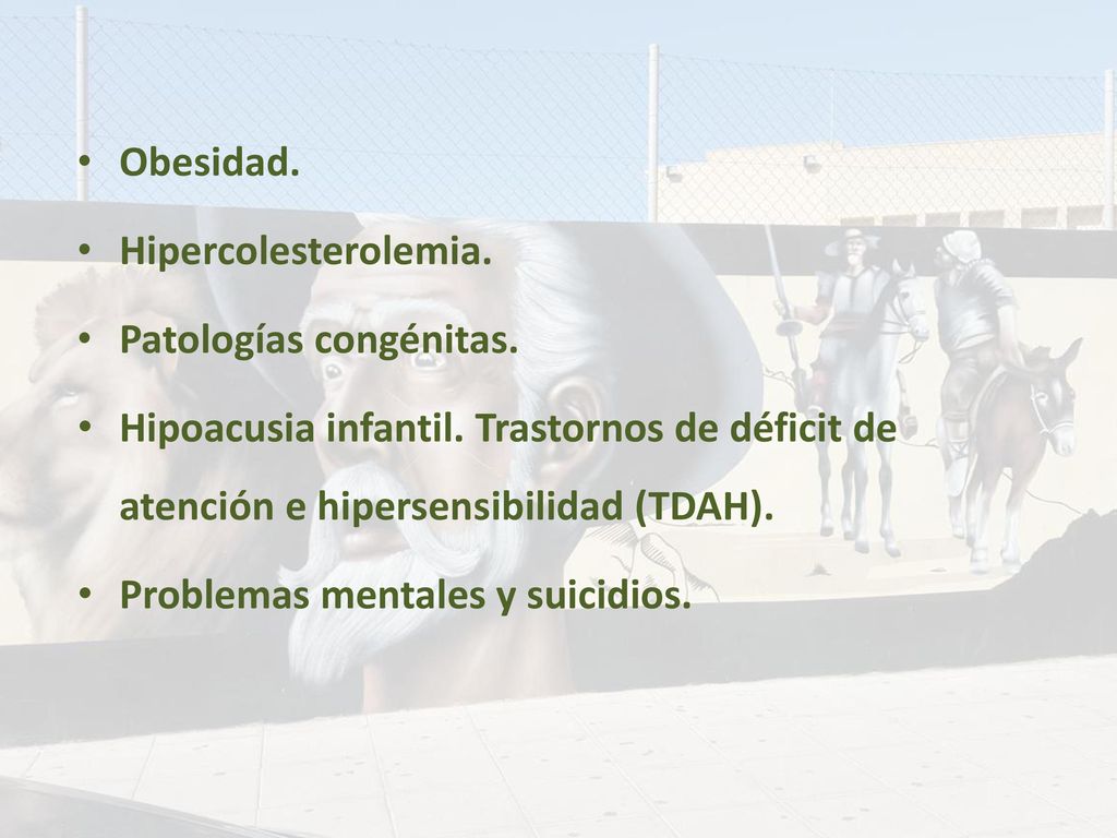 Obesidad. Hipercolesterolemia. Patologías congénitas. Hipoacusia infantil. Trastornos de déficit de atención e hipersensibilidad (TDAH).