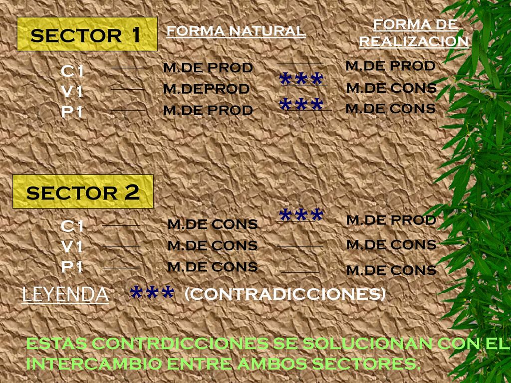 *** *** *** *** SECTOR 1 SECTOR 2 LEYENDA C1 V1 P1 C1 V1 P1