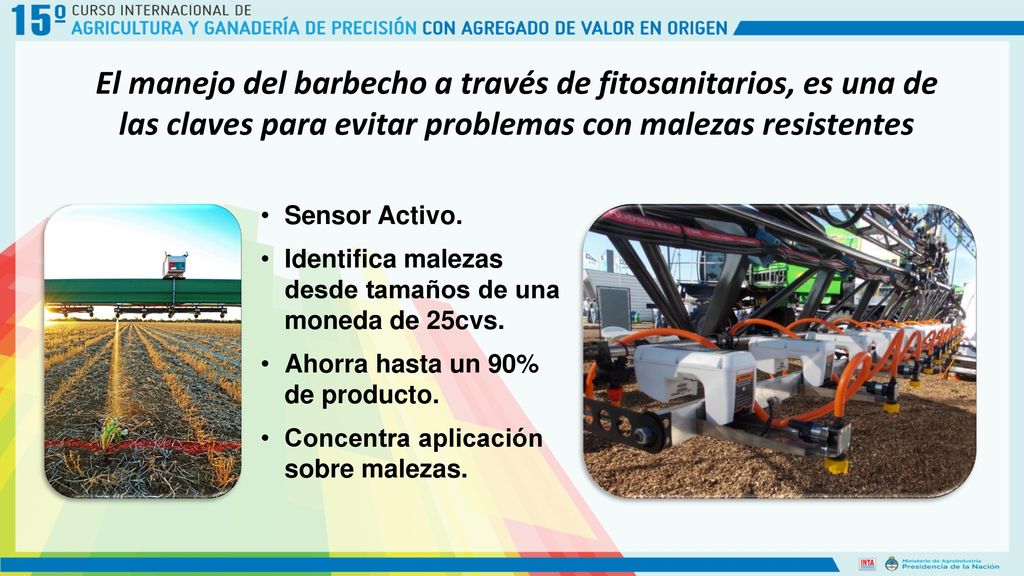 El manejo del barbecho a través de fitosanitarios, es una de las claves para evitar problemas con malezas resistentes