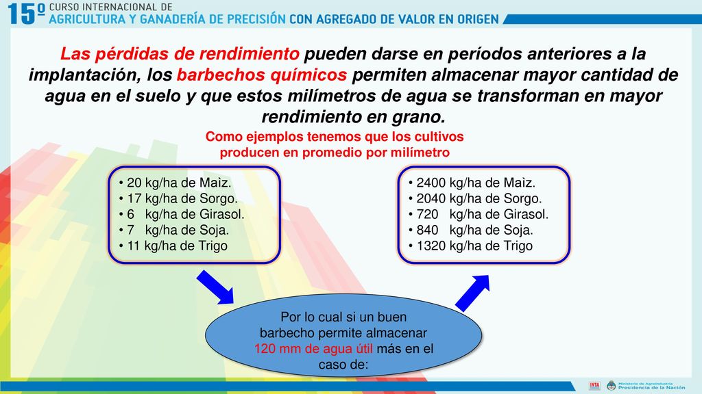 Las pérdidas de rendimiento pueden darse en períodos anteriores a la implantación, los barbechos químicos permiten almacenar mayor cantidad de agua en el suelo y que estos milímetros de agua se transforman en mayor rendimiento en grano.