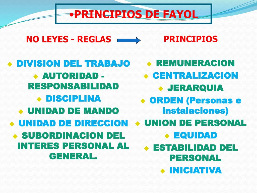 PRINCIPIOS DE FAYOL NO LEYES - REGLAS PRINCIPIOS DIVISION DEL TRABAJO
