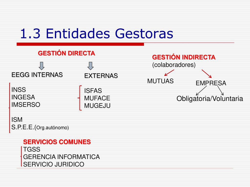 1.3 Entidades Gestoras Obligatoria/Voluntaria GESTIÓN DIRECTA