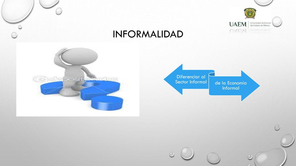 informalidad Diferenciar al Sector Informal de la Economía Informal