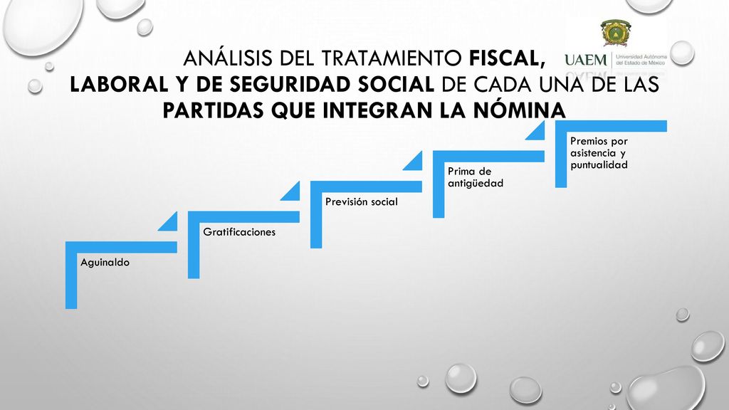 Análisis del tratamiento fiscal, laboral y de seguridad social de cada una de las partidas que integran la nómina