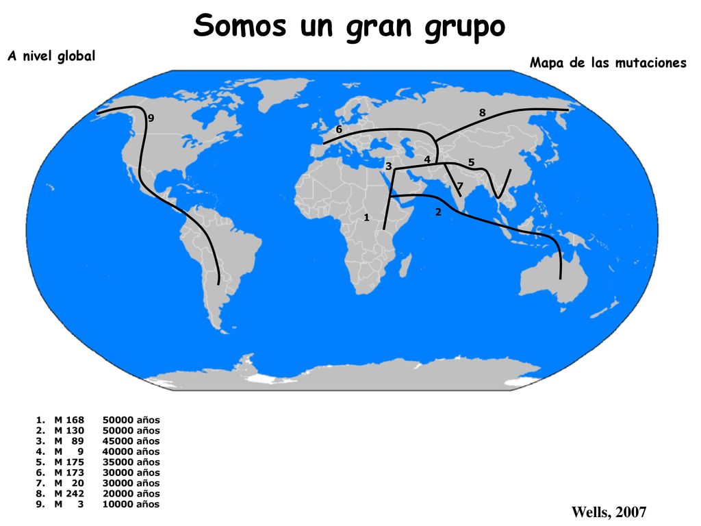 Somos un gran grupo Wells, 2007 A nivel global Mapa de las mutaciones