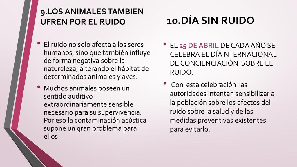10.DÍA SIN RUIDO 9.LOS ANIMALES TAMBIEN UFREN POR EL RUIDO