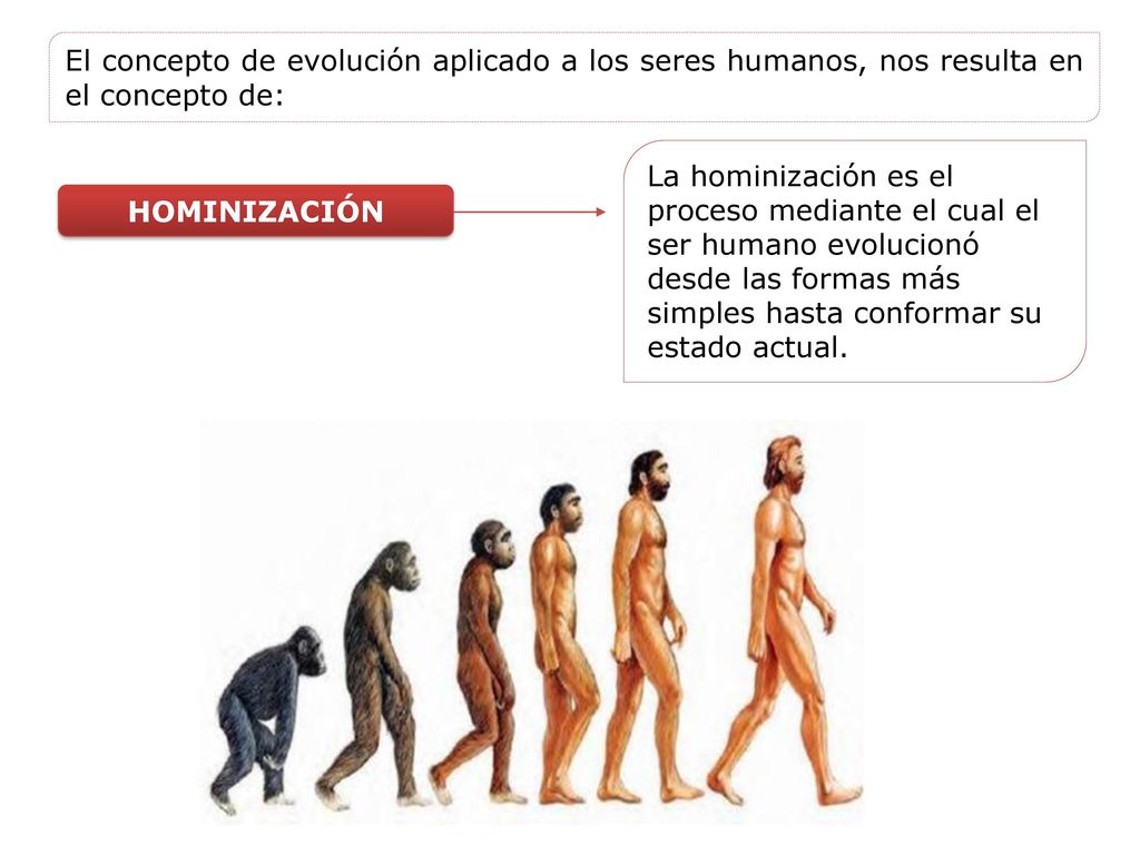 El concepto de evolución aplicado a los seres humanos, nos resulta en el concepto de: