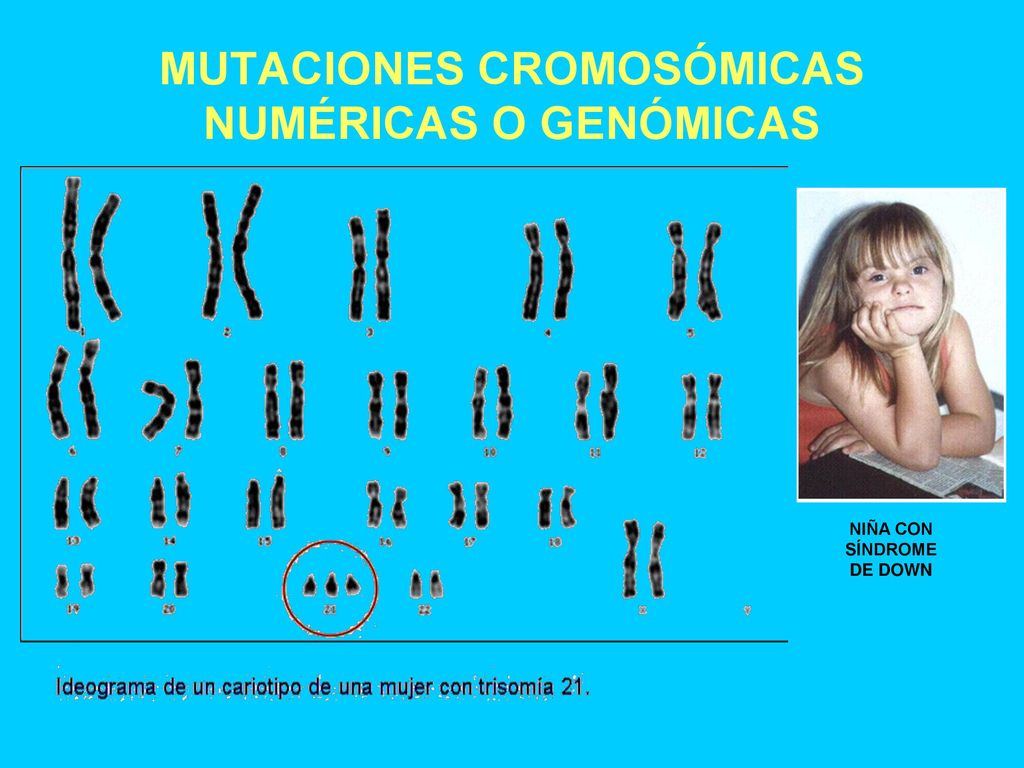 MUTACIONES CROMOSÓMICAS NUMÉRICAS O GENÓMICAS