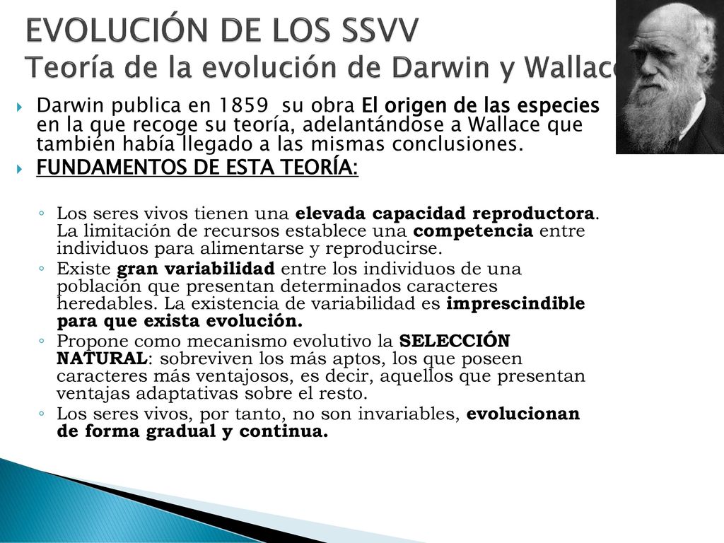 EVOLUCIÓN DE LOS SSVV Teoría de la evolución de Darwin y Wallace.