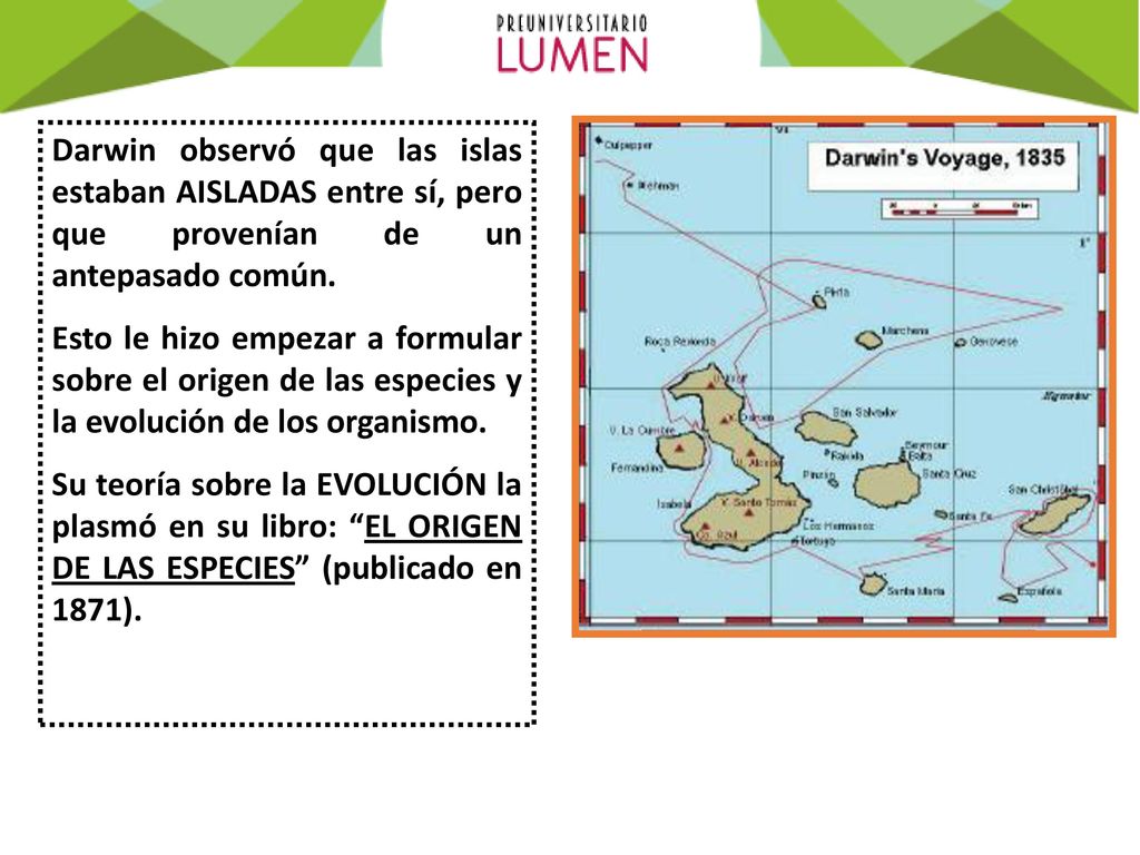Darwin observó que las islas estaban AISLADAS entre sí, pero que provenían de un antepasado común.