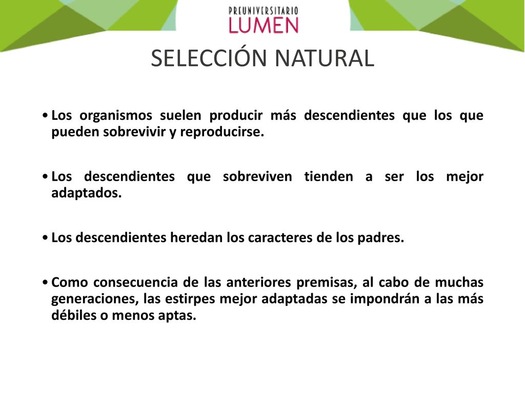SELECCIÓN NATURAL Los organismos suelen producir más descendientes que los que pueden sobrevivir y reproducirse.
