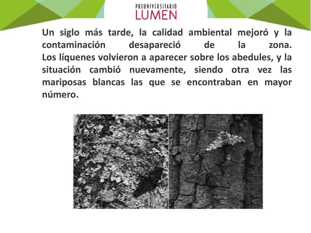 Un siglo más tarde, la calidad ambiental mejoró y la contaminación desapareció de la zona.