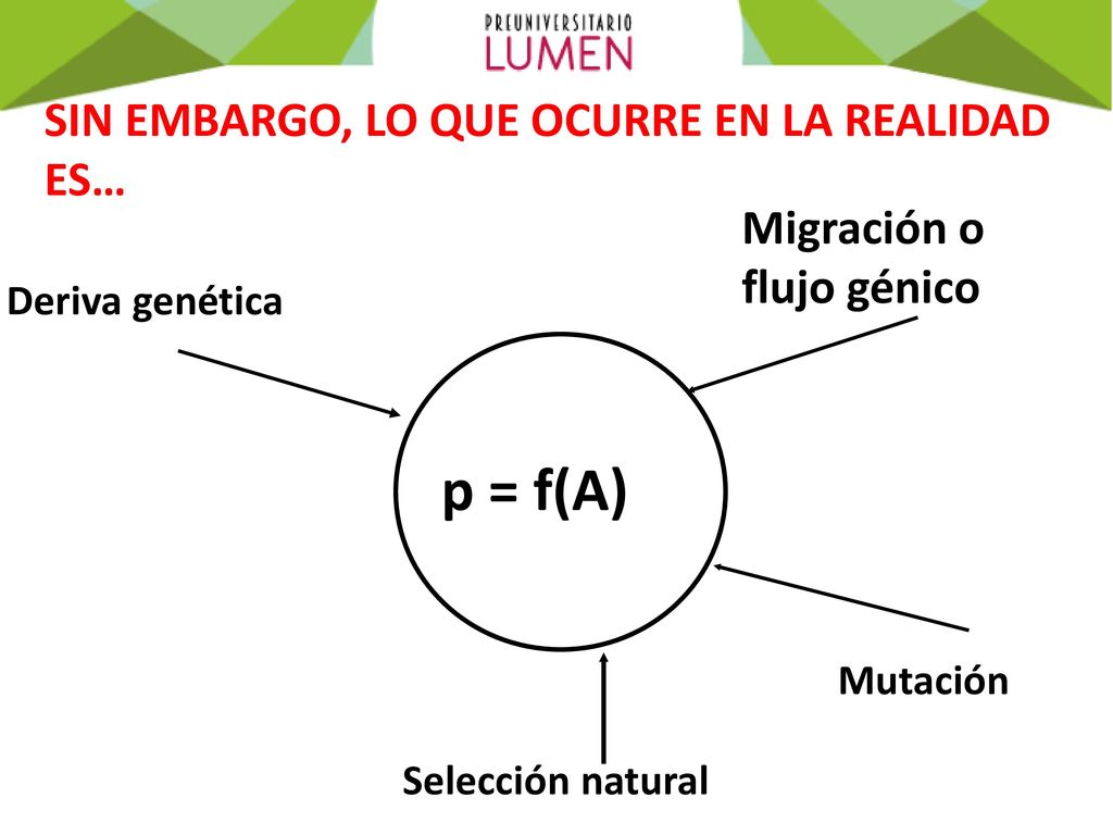 p = f(A) SIN EMBARGO, LO QUE OCURRE EN LA REALIDAD ES… Migración o