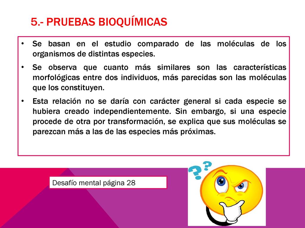 5.- Pruebas bioquímicas Se basan en el estudio comparado de las moléculas de los organismos de distintas especies.